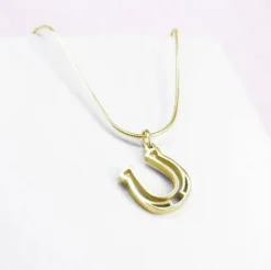 Hot Pendentif fer à cheval - Bijoux