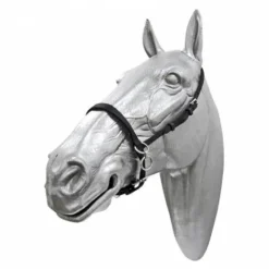 Sale Petit licol à anneaux nylon Licols Et Longes