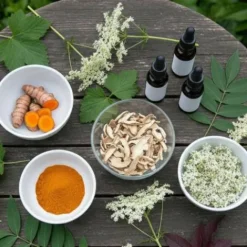 Sale Phyt'articulation cheval - problèmes articulaires Membres·Articulations|Bien-Être Du Cheval·Plantes Pour Chevaux