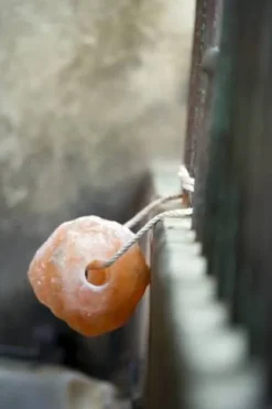 New Pierre à sel de l'himalaya - Hippotonic Bloc À Lécher / Pierre À Sel