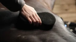 Éponge Shine Scrubber - - Multifonctionnelle Éponges De Pansage