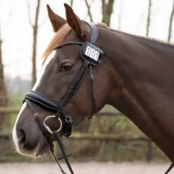 Clearance Porte numéros par 2 vernis - - cuir orné de strass Les Accessoires De Concours·Dossard De Cross - Brassard|Dossards De Cross