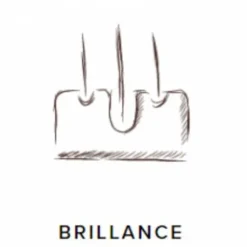 Sale Probioguts - 5 kg Appareil Digestif·Flore Intestinale