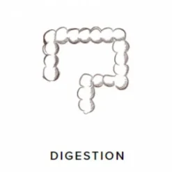 Sale Probioguts - 5 kg Appareil Digestif·Flore Intestinale