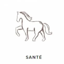 Sale ProbioGuts - 15 kg - - Probiotiques BIO Appareil Digestif·Facilite Le Transit|Appareil Digestif·Flore Intestinale