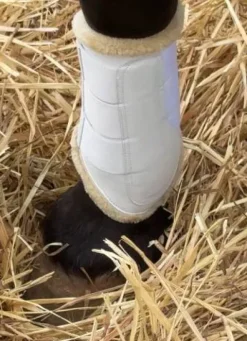 Sale Protecteurs de tendons Trotando Juntos – Confort, sécur Protège-Boulets