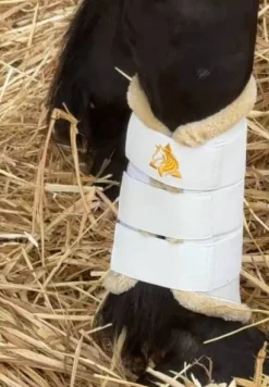 Sale Protecteurs de tendons Trotando Juntos – Confort, sécur Protège-Boulets