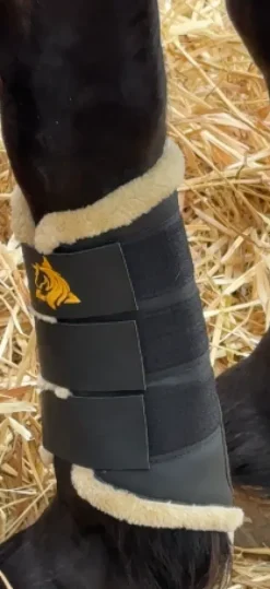 Sale Protecteurs de tendons Trotando Juntos – Confort, sécur Protège-Boulets