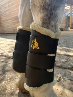 Sale Protecteurs de tendons Trotando Juntos – Confort, sécur Protège-Boulets