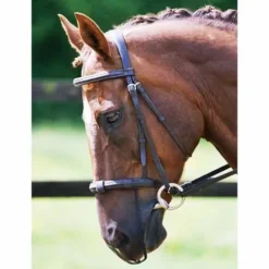 Online Protection Anti-Encensement - Masques Anti-Mouches