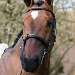 Online Protection Anti-Encensement - Masques Anti-Mouches