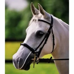 Online Protection Anti-Encensement - Masques Anti-Mouches