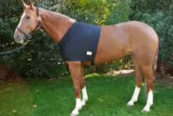 Discount Protection d'épaules contre l'usure du poil du cheval Couvertures Cheval