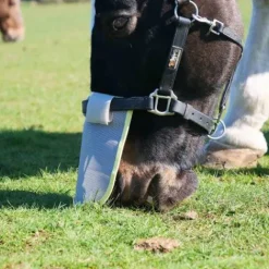 New Protection solaire de nez Masques Anti-Mouches