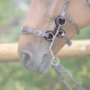 Online Protections pour hackamore 0091 et 0092 Mors Et Embouchures