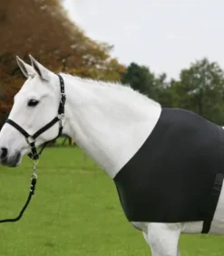 Protege épaule Couvertures Cheval