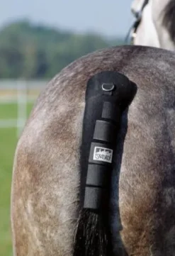 Sale Protège queue - Protège Queue