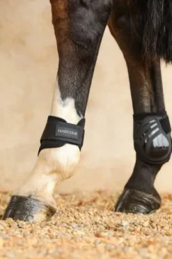 Best Protège-boulets Paddi Protège-Boulets