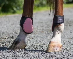 Hot Protège-Boulets Shetland Protège-Boulets