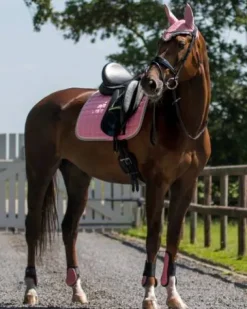 Hot Protège-Boulets Shetland Protège-Boulets