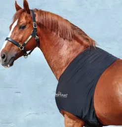 Outlet Protège-épaules - Horseware - lycra anti-statique Couvertures Cheval