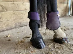 Best Protèges boulets Norton violet Protège-Boulets