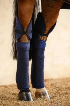Online Protèges Jarrets Cavaletti (2 coloris) Protège-Jarrets|Protège Jarret