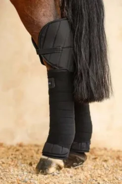 Online Protèges Jarrets Cavaletti (2 coloris) Protège-Jarrets|Protège Jarret