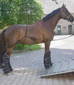 Sale Rampe pour camion - Longes De Travail