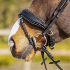 Best Rembourrage muserolle interchangeable Skye - - Strass Accessoires De Briderie·Protection Muserolle Et Tétière