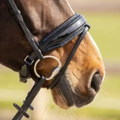 Best Rembourrage muserolle interchangeable Skye - - Strass Accessoires De Briderie·Protection Muserolle Et Tétière