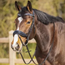 Best Rembourrage muserolle interchangeable Skye - - Strass Accessoires De Briderie·Protection Muserolle Et Tétière