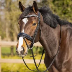 Best Rembourrage muserolle interchangeable Skye - - Strass Accessoires De Briderie·Protection Muserolle Et Tétière