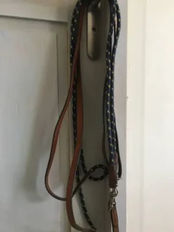 Hot Renes allemandes Rênes·Rênes Allemande