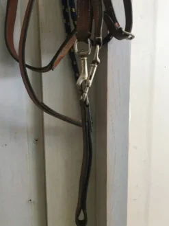 Hot Renes allemandes Rênes·Rênes Allemande