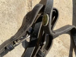 New Renes en cuir Eric Thomas Rênes·Rênes Lisses