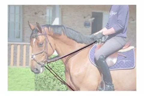 Clearance Rênes allemandes avec corde - Working collection Dy'on Rênes·Rênes Allemande