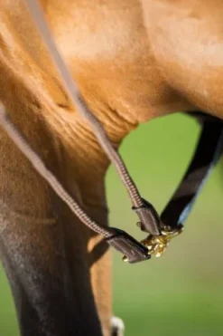 Online Rênes allemandes cuir - - boucles en laiton Rênes·Rênes Allemande