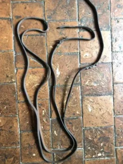 Online Rênes allemandes cuir poney Rênes·Rênes Allemande