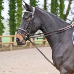 Best Rênes allemandes cuir plat - Jump'in Rênes·Rênes Allemande