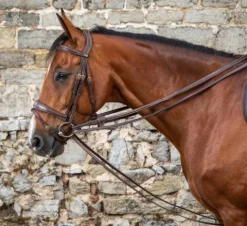 Discount Rênes allemandes en cuir 1/2 - Dy'on Rênes·Rênes Allemande