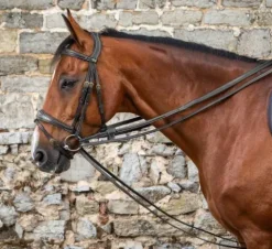 Discount Rênes allemandes en cuir 1/2 - Dy'on Rênes·Rênes Allemande