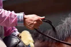 Online Rênes avec arrêts et crochet à rivet - - antidérapantes Rênes·Rênes Anti-dérapantes|Rênes·Rênes En Caoutchouc