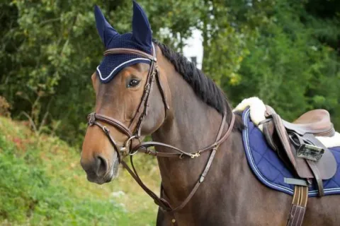 Discount Rênes THIEDEMANN à anneaux Enrênements·Martingale