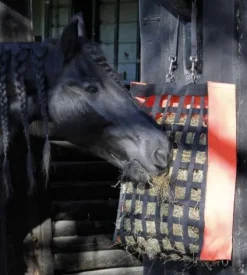 Discount Sac à foin Adagio - Harry's Horse Matériel Pour L'Alimentation·Filets à Foin
