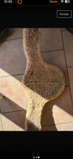 Clearance Sangle bavette Sangles