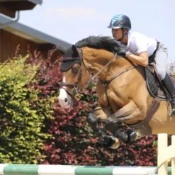 Sale Sangle Bavette - Kentucky Sangles