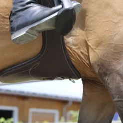 Sale Sangle Bavette - Kentucky Sangles