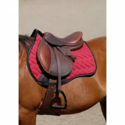 Online Sangle bavette Magnet - Sangles