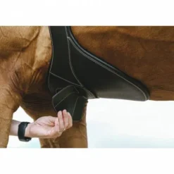 Online Sangle bavette Magnet - Sangles